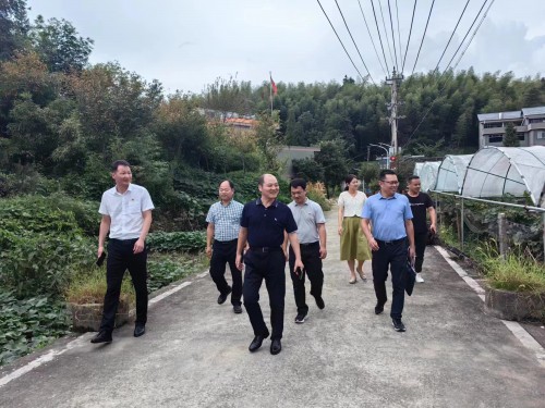 格式工廠福安黃曉志：圖為省機(jī)電控股公司黨委委員、副總經(jīng)理吳大文到福安市仙嶺村開展鄉(xiāng)村振興工作調(diào)�?(2).jpg